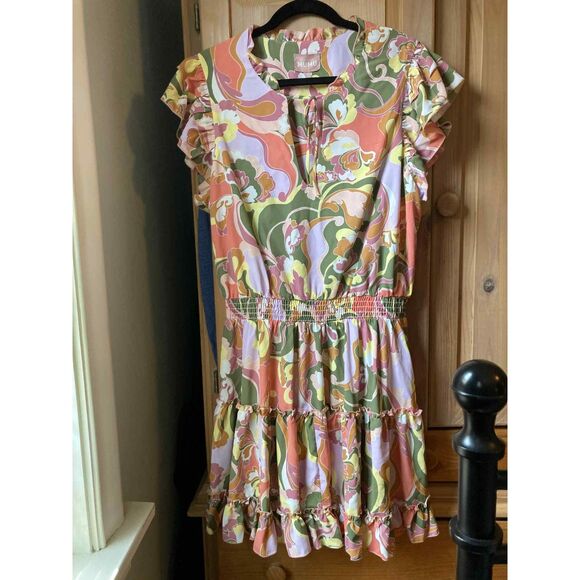 Show Me Your Mumu | Show Me Your Dreams Smocked Waist Mini Dress | XXL - Picture 3 of 6